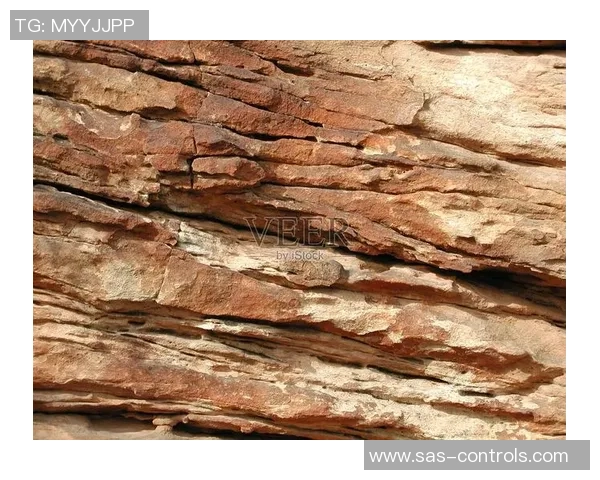 赵军独家分享攀岩技巧与心得体会助你提升攀岩水平与安全意识