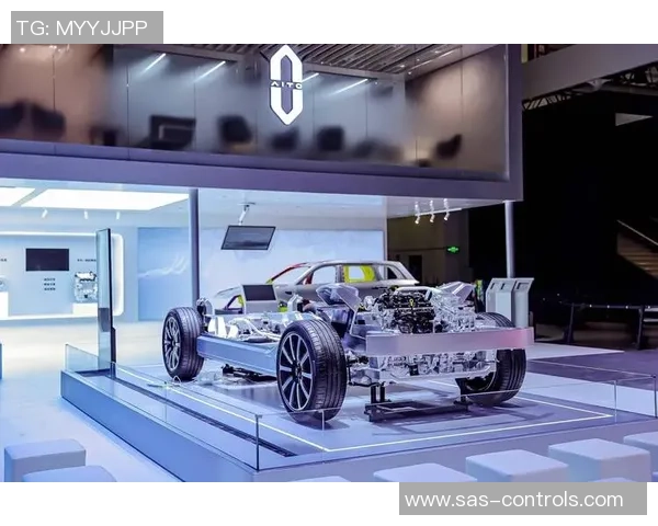 重庆排球队整体压制革新之路探秘与未来展望