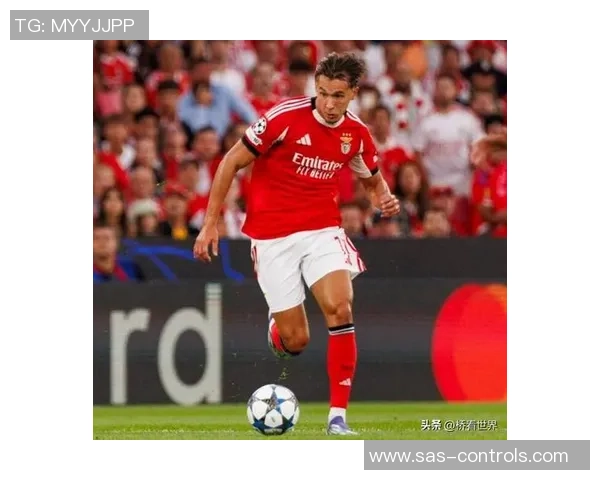 中超精彩对决里昂逆转本菲卡乌龙球引发全场狂欢十大进球回顾 中超精彩对决里昂逆转本菲卡乌龙球引发全场狂欢十大进球回顾